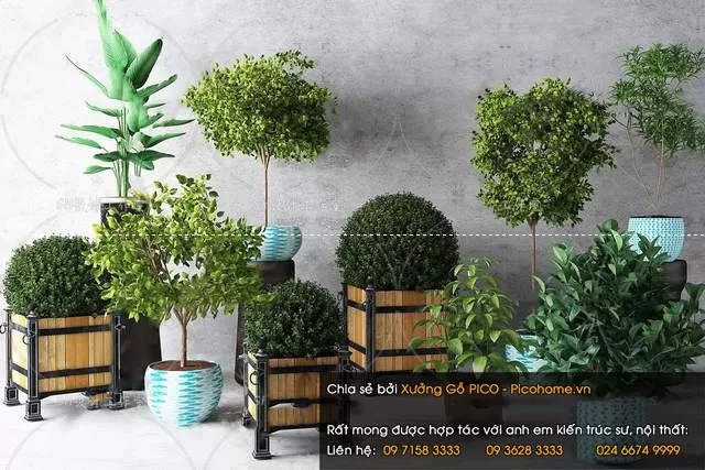 FLOWER – PLANT 3D MODELS – 665