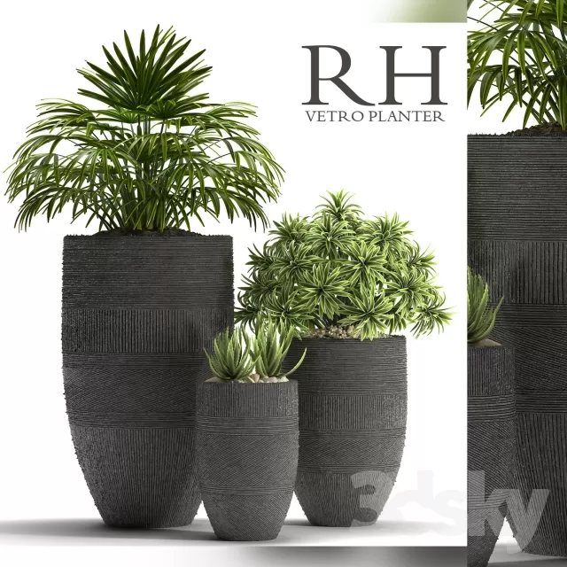 FLOWER – PLANT 3D MODELS – 695