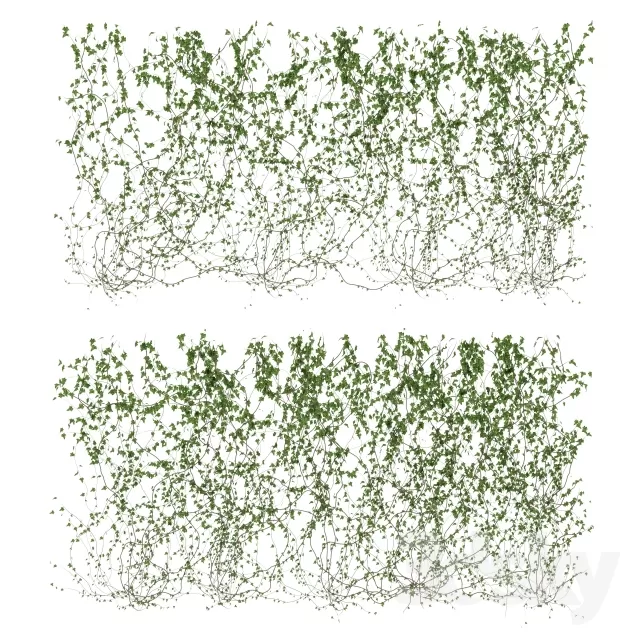 FLOWER – PLANT 3D MODELS – 698