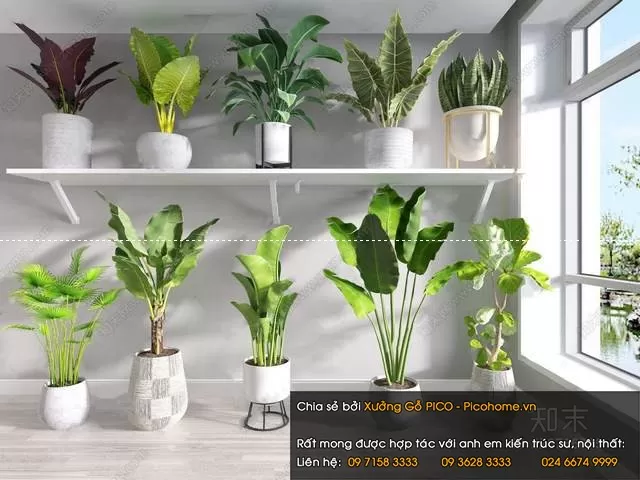 FLOWER – PLANT 3D MODELS – 699