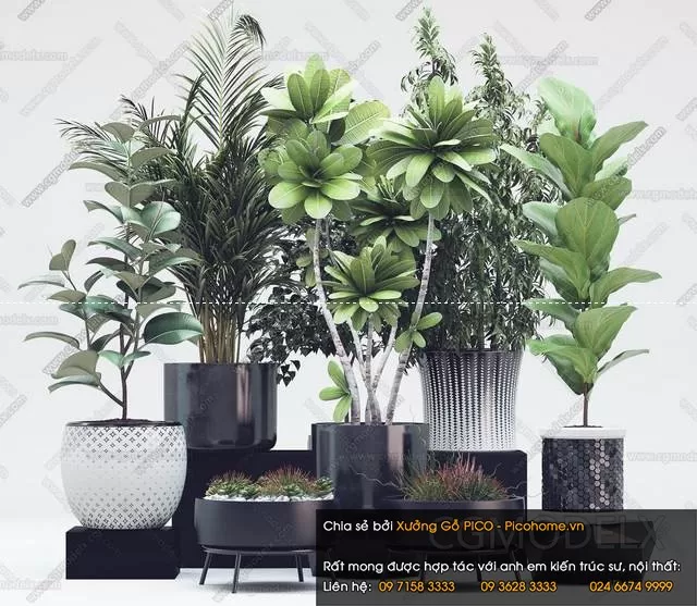 FLOWER – PLANT 3D MODELS – 008 FLOWER – PLANT 3D MODELS – 008