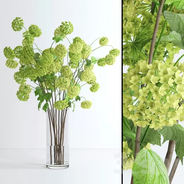 FLOWER – PLANT 3D MODELS – 734