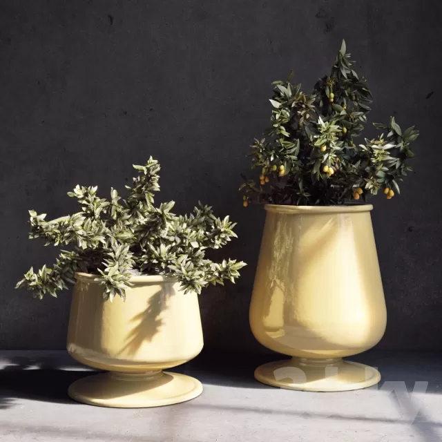 FLOWER – PLANT 3D MODELS – 735