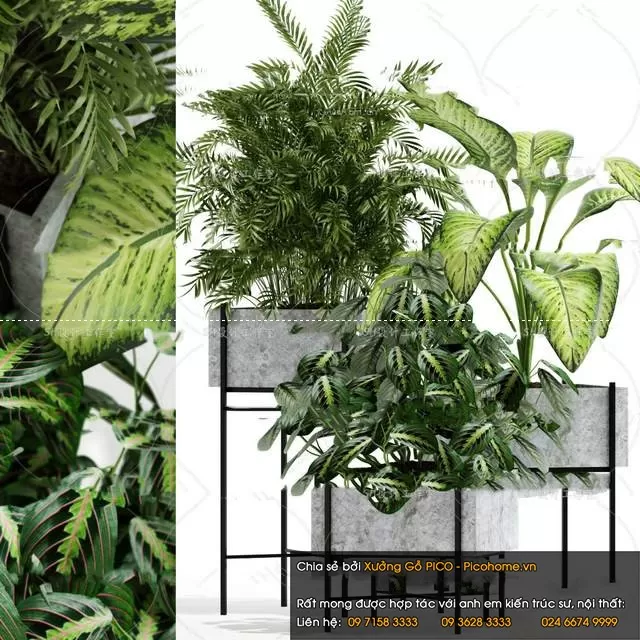 FLOWER – PLANT 3D MODELS – 744