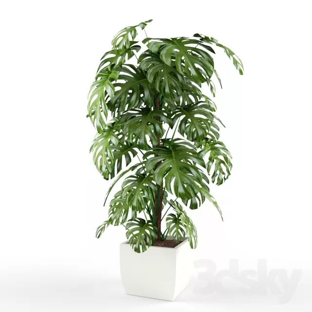 FLOWER – PLANT 3D MODELS – 747