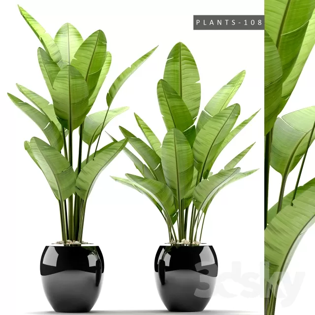 FLOWER – PLANT 3D MODELS – 076 FLOWER – PLANT 3D MODELS – 076