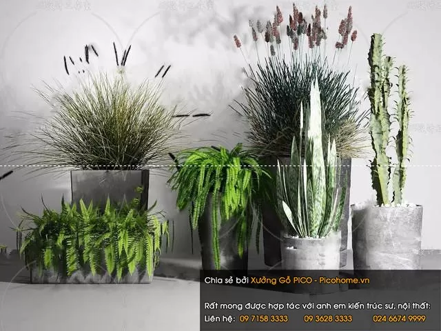 FLOWER – PLANT 3D MODELS – 758