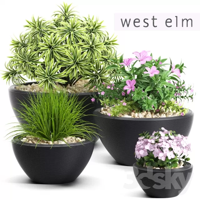 FLOWER – PLANT 3D MODELS – 761