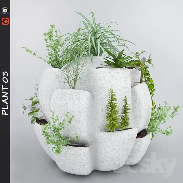 FLOWER – PLANT 3D MODELS – 770