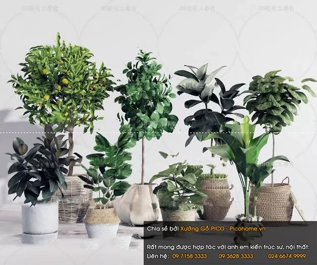 FLOWER – PLANT 3D MODELS – 009 FLOWER – PLANT 3D MODELS – 009