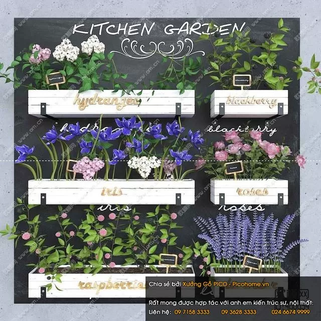 FLOWER – PLANT 3D MODELS – 803