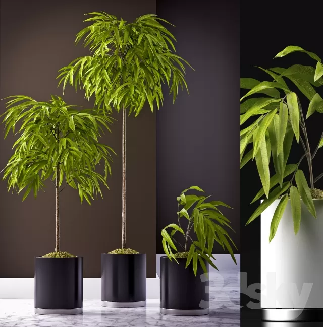 FLOWER – PLANT 3D MODELS – 826