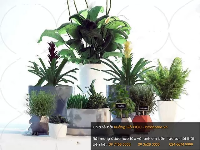 FLOWER – PLANT 3D MODELS – 840