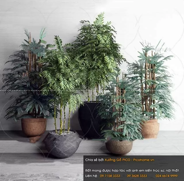 FLOWER – PLANT 3D MODELS – 858