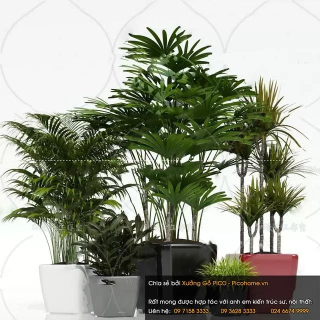 FLOWER – PLANT 3D MODELS – 867