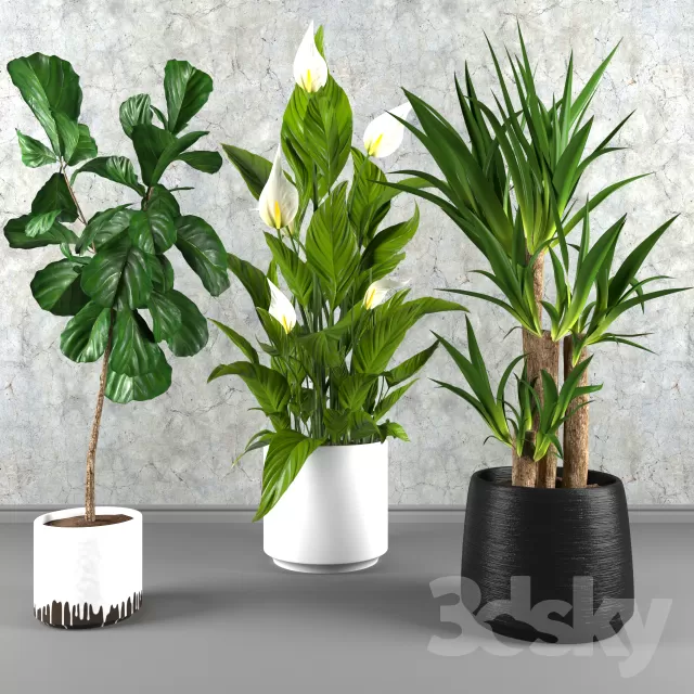 FLOWER – PLANT 3D MODELS – 088 FLOWER – PLANT 3D MODELS – 088