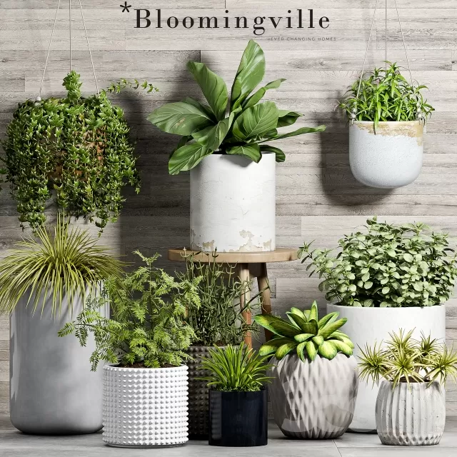 FLOWER – PLANT 3D MODELS – 872