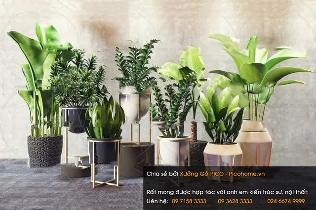 FLOWER – PLANT 3D MODELS – 879 FLOWER – PLANT 3D MODELS – 879