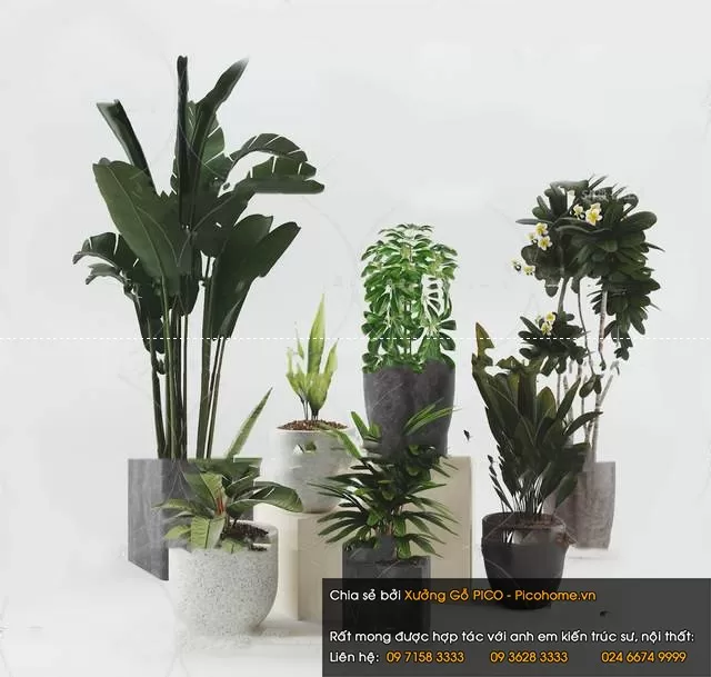 FLOWER – PLANT 3D MODELS – 887 FLOWER – PLANT 3D MODELS – 887