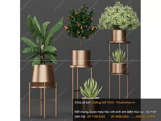 FLOWER – PLANT 3D MODELS – 891 FLOWER – PLANT 3D MODELS – 891