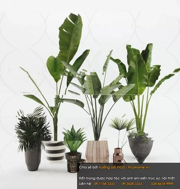 FLOWER – PLANT 3D MODELS – 894 FLOWER – PLANT 3D MODELS – 894