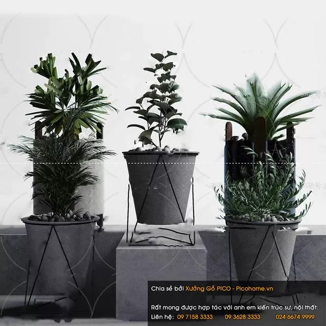 FLOWER – PLANT 3D MODELS – 898 FLOWER – PLANT 3D MODELS – 898