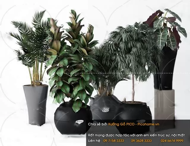 FLOWER – PLANT 3D MODELS – 903 FLOWER – PLANT 3D MODELS – 903