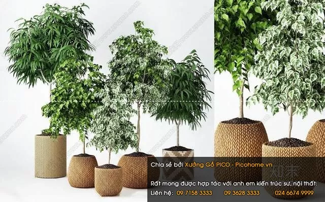 FLOWER – PLANT 3D MODELS – 904 FLOWER – PLANT 3D MODELS – 904