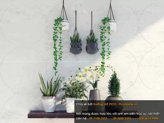 FLOWER – PLANT 3D MODELS – 911 FLOWER – PLANT 3D MODELS – 911