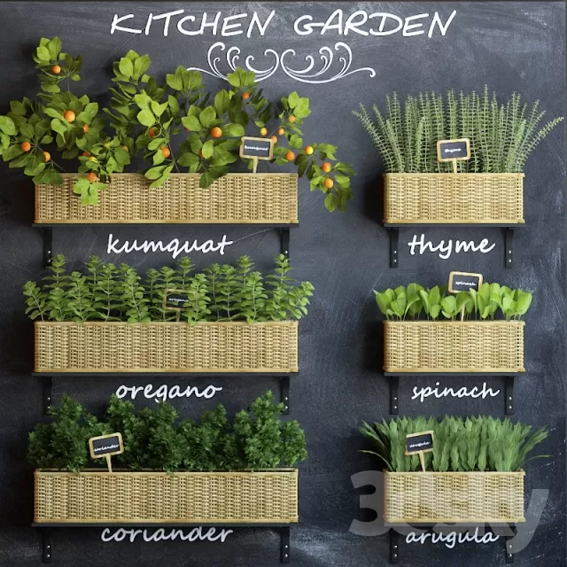 FLOWER – PLANT 3D MODELS – 912 FLOWER – PLANT 3D MODELS – 912