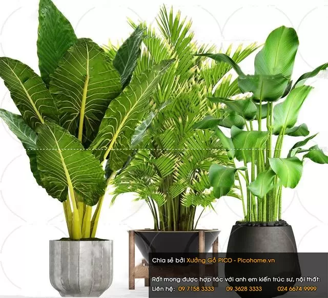 FLOWER – PLANT 3D MODELS – 927 FLOWER – PLANT 3D MODELS – 927