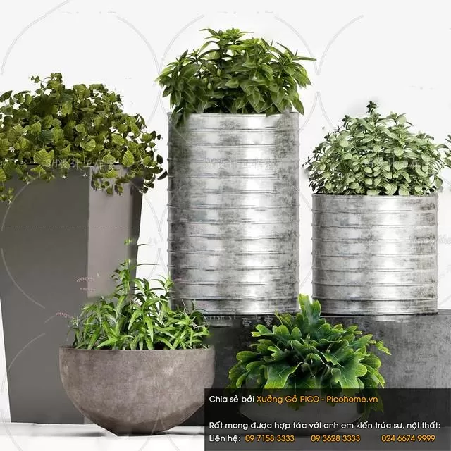 FLOWER – PLANT 3D MODELS – 929 FLOWER – PLANT 3D MODELS – 929