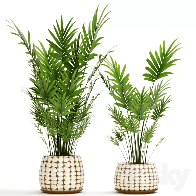 FLOWER – PLANT 3D MODELS – 939 FLOWER – PLANT 3D MODELS – 939