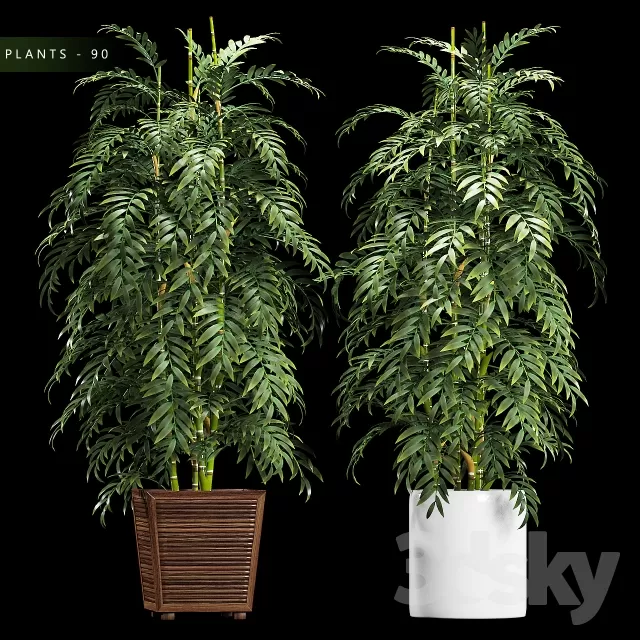 FLOWER – PLANT 3D MODELS – 965 FLOWER – PLANT 3D MODELS – 965