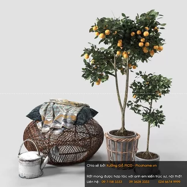 FLOWER – PLANT 3D MODELS – 969 FLOWER – PLANT 3D MODELS – 969