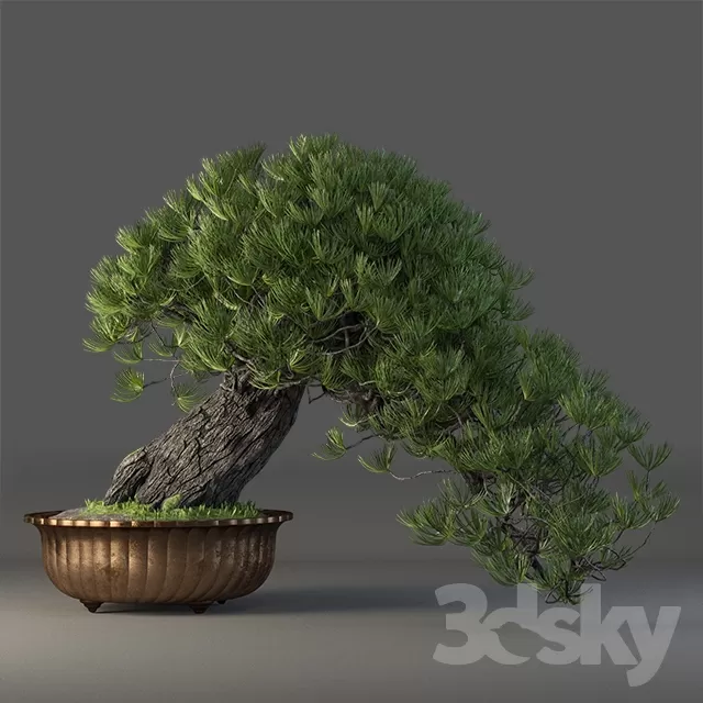 FLOWER – PLANT 3D MODELS – 979 FLOWER – PLANT 3D MODELS – 979
