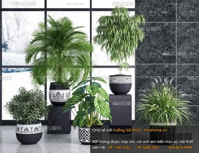 FLOWER – PLANT 3D MODELS – 099 FLOWER – PLANT 3D MODELS – 099