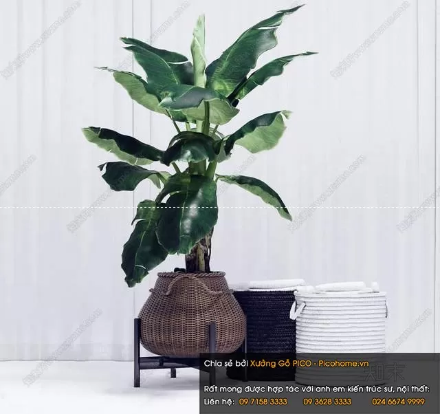 FLOWER – PLANT 3D MODELS – 981 FLOWER – PLANT 3D MODELS – 981