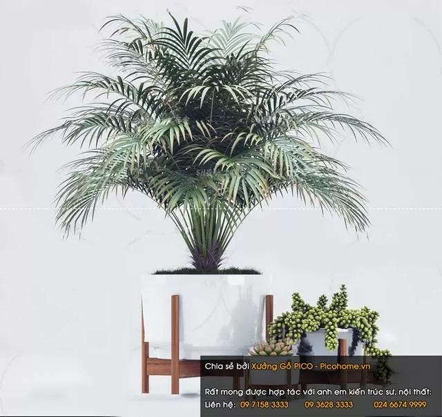 FLOWER – PLANT 3D MODELS – 985 FLOWER – PLANT 3D MODELS – 985