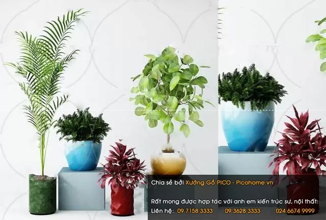 FLOWER – PLANT 3D MODELS – 988 FLOWER – PLANT 3D MODELS – 988