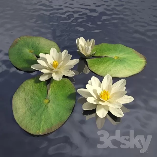 FLOWER – PLANT 3D MODELS – 992 FLOWER – PLANT 3D MODELS – 992