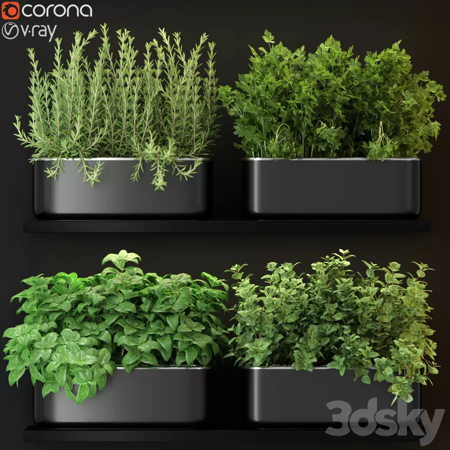 3DS SKY PRO MODELS – 016