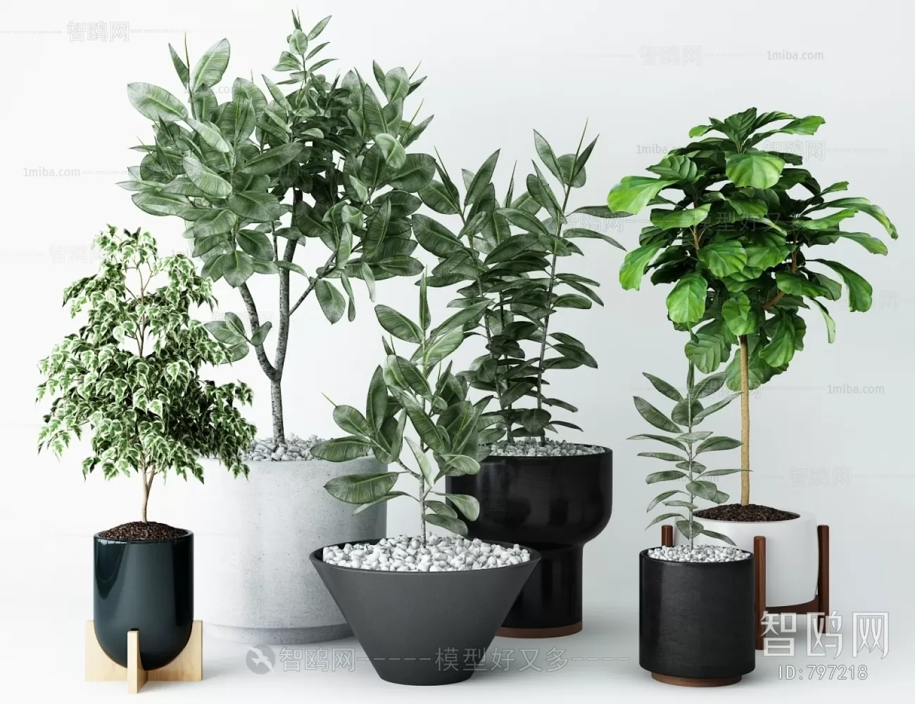 PLANT 3D MODELS – 014