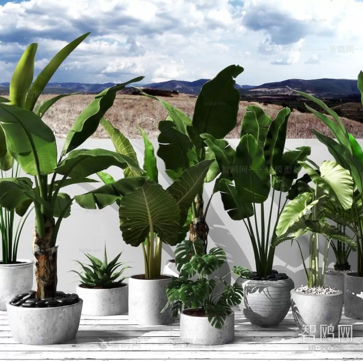 PLANT 3D MODELS – 015