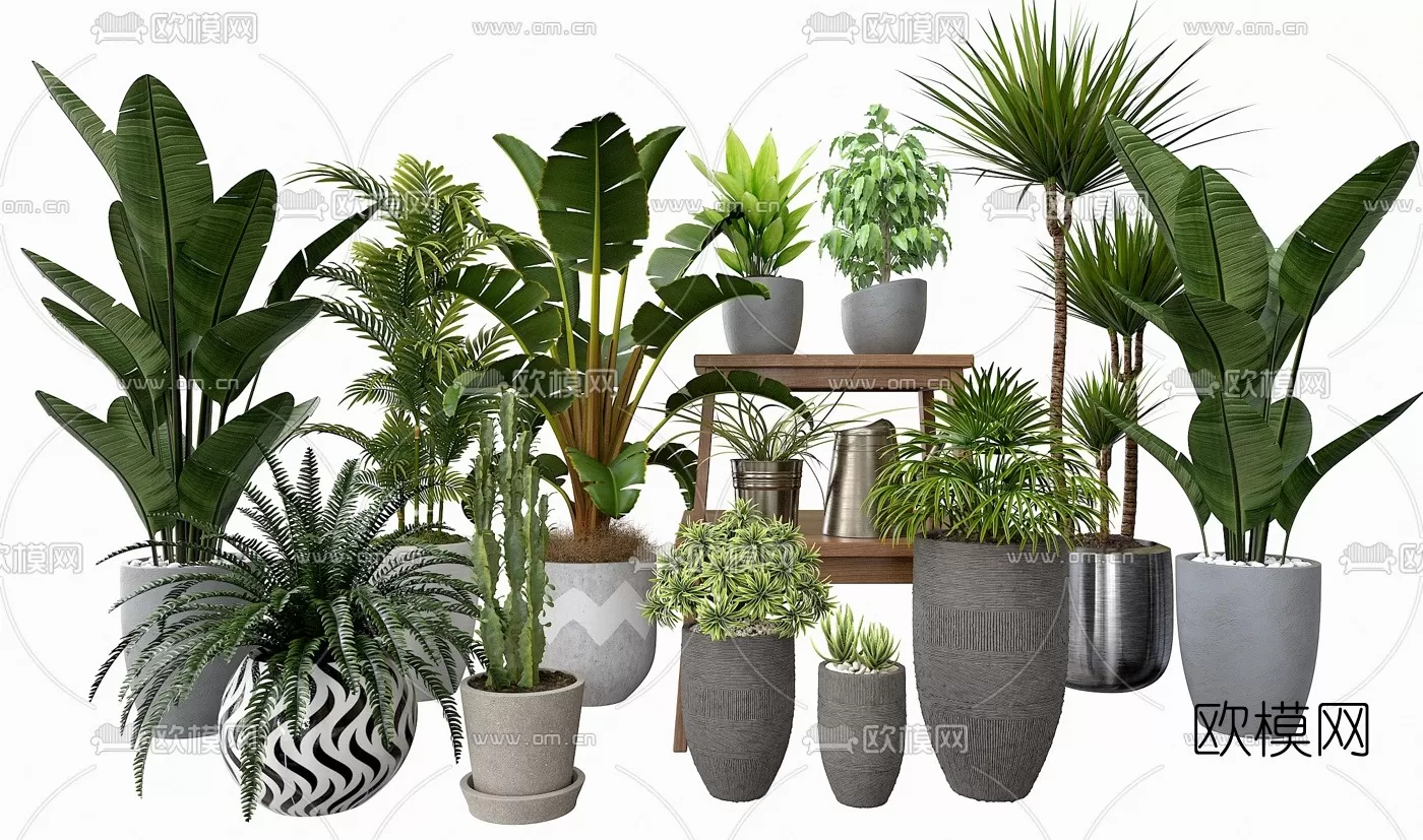 PLANT 3D MODELS – 037
