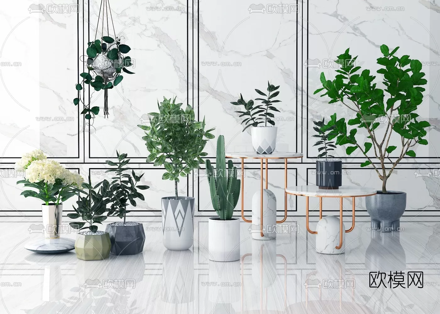 PLANT 3D MODELS – 049