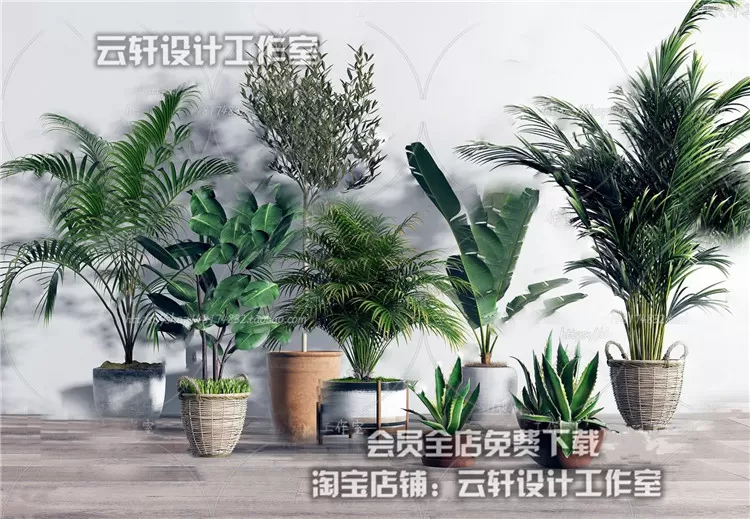 PLANT 3D MODELS – 069
