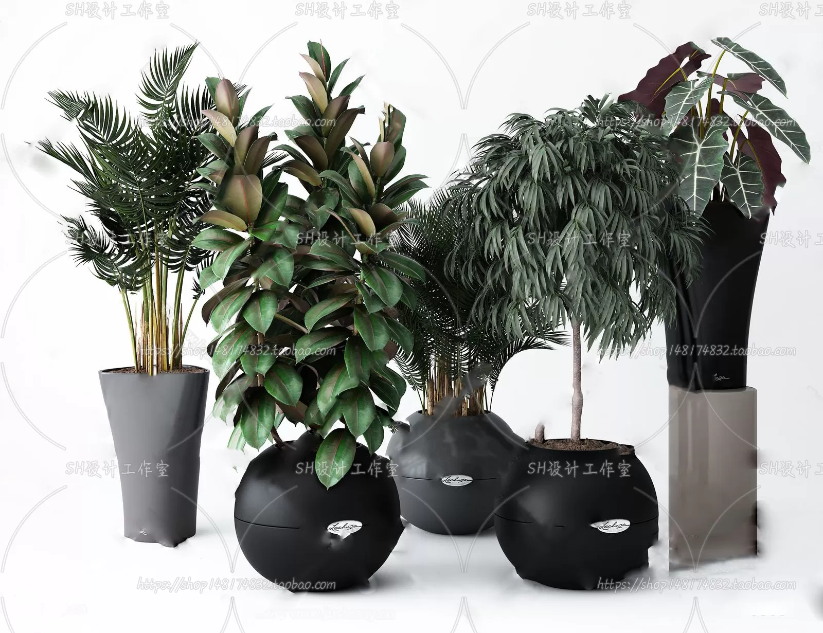 PLANT 3D MODELS – 081