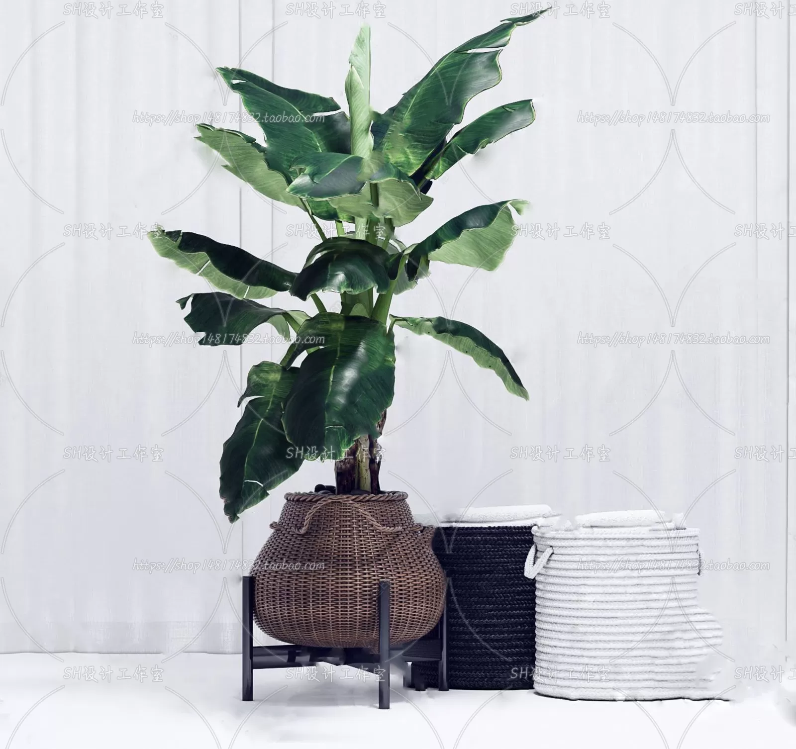 PLANT 3D MODELS – 097