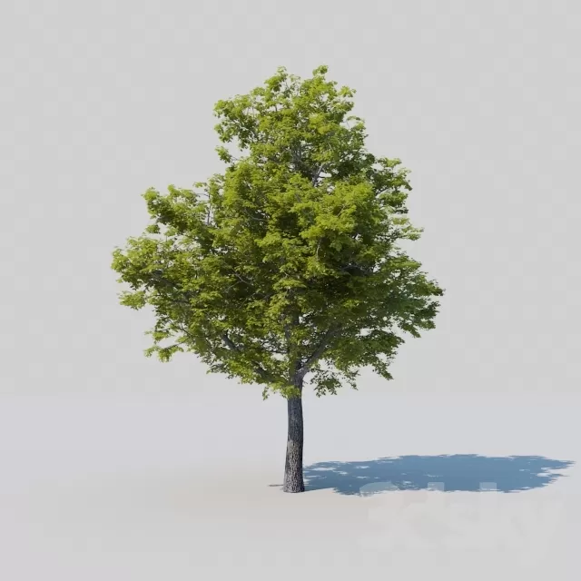 3D MODELS FREE DOWNLOAD